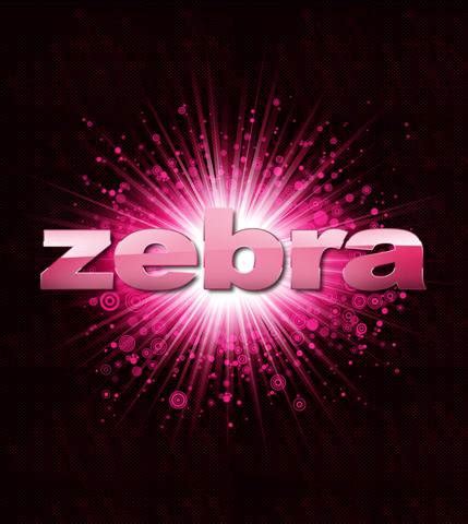 zebra dübendorf|ZEBRA STORE